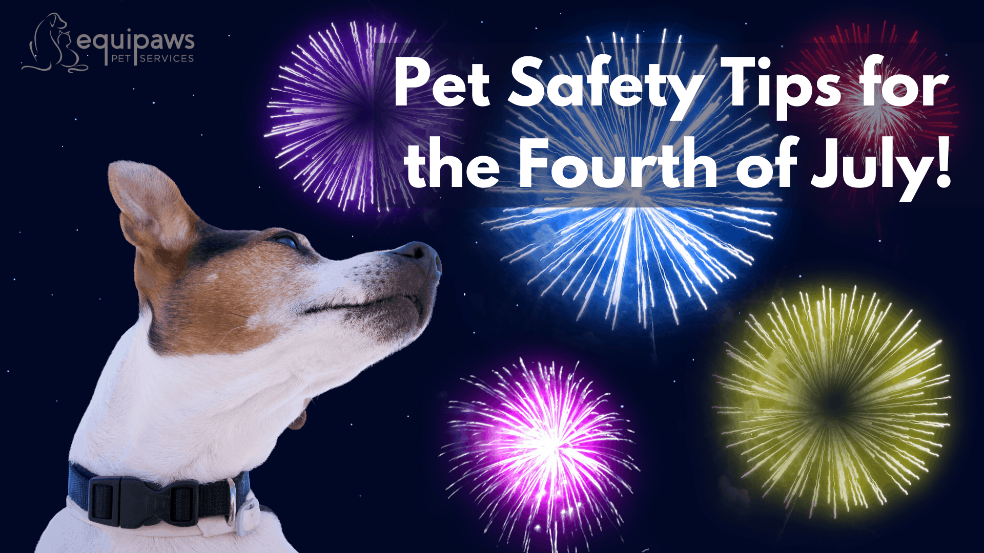 Pet Safety tips for the fourth of July