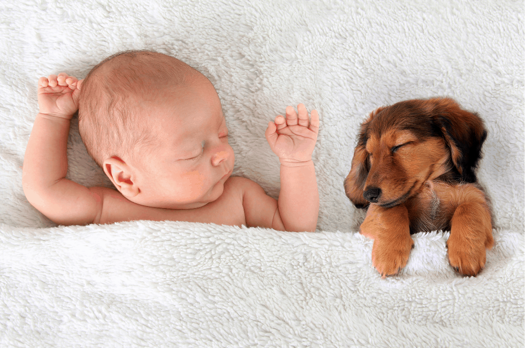 Baby and dachshund laying down next to each other sleeping