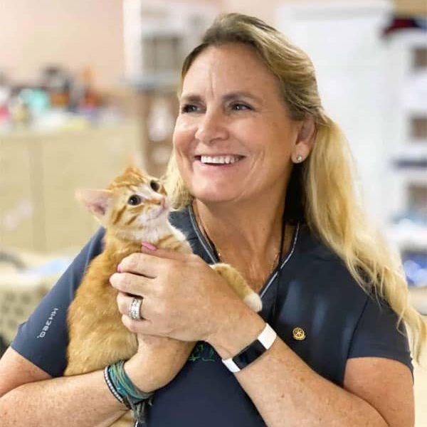 Miami veterinarian