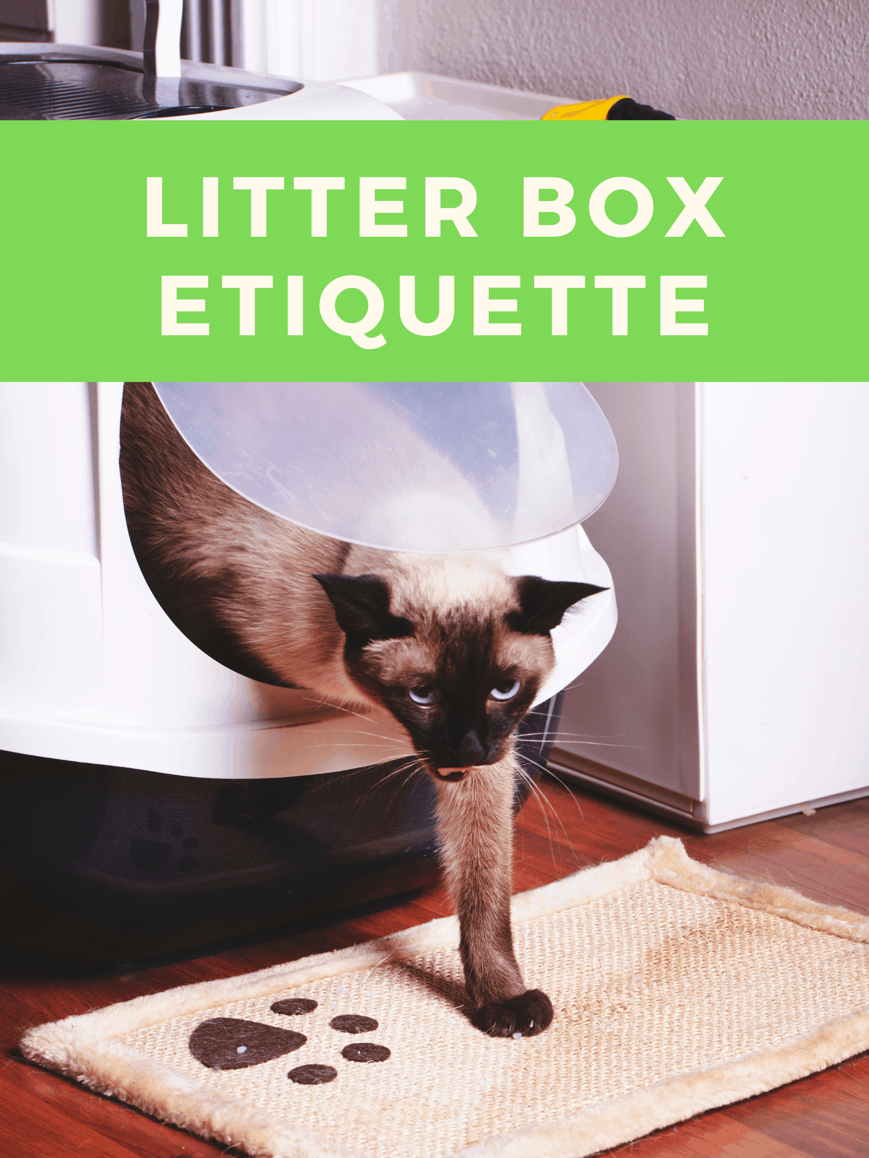 cat litter box etiquette!