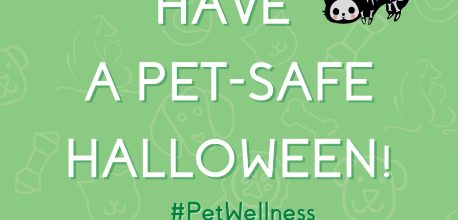 Pet Halloween Safety