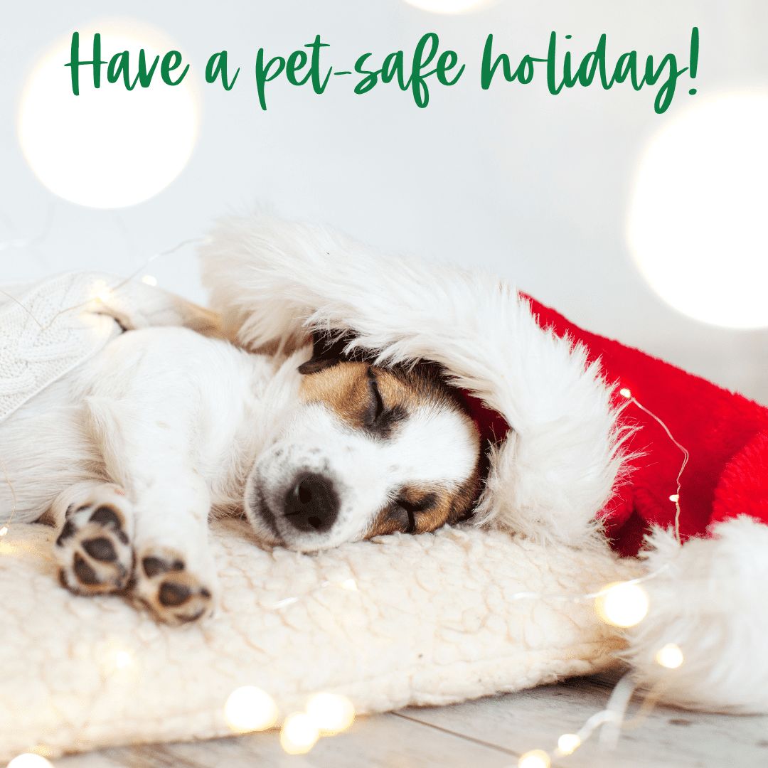 Have a pet-safe holiday!