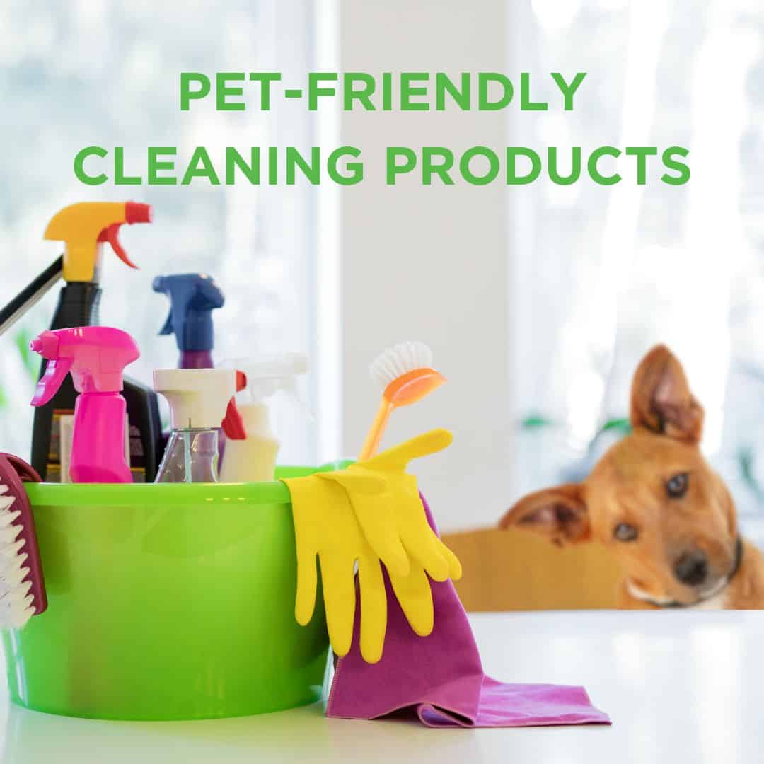 5 Best Pet-Safe Cleaning Products in 2023