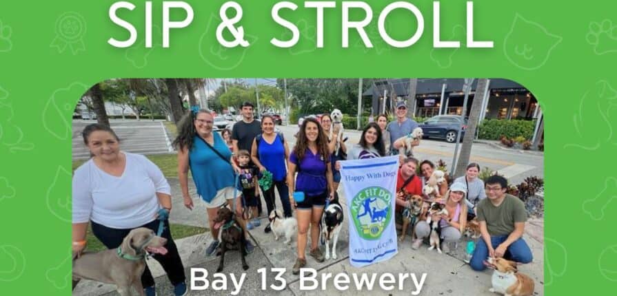 AKC Fit Dog Walk Yappy Hour Sip and Stroll Coral Gables Equipaws Pet Services Dog Walkers