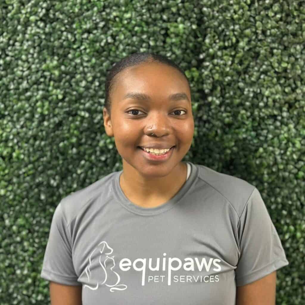 Shandel Challice Shandel Devonni - Equipaws Pet Services