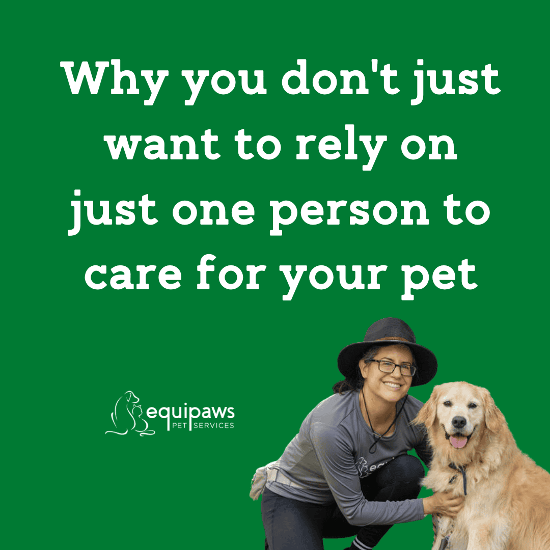 Why you don't just want to rely on just one person to care for your pet