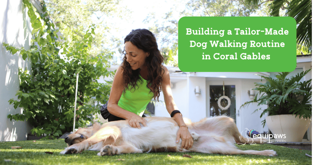 Coral Gables dog walker near me