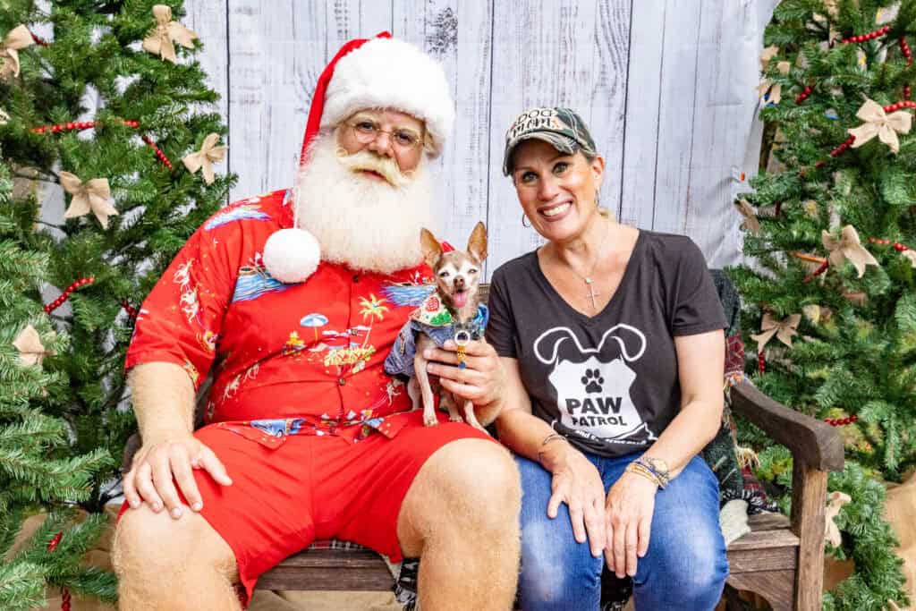 Paw Patrol Animal Rescue The Holiday Barkzaar